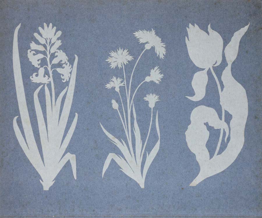 Hyacinth,Cornflower,Tulip